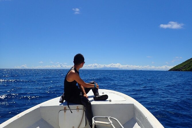Ultimate Encounter Snorkel with Sharks in Fiji - What if there are no sharks?