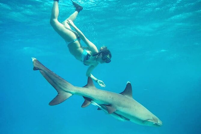 Ultimate Encounter Snorkel with Sharks in Fiji - Gear, fitness, and comfort: what to bring