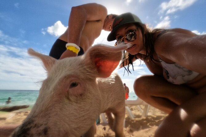 Ultimate SeaXscape Pigs/Turtles/Snorkel/Lunch/Drinks/PU/DO - Getting to the boat in Nassau: pickup timing and small-group size