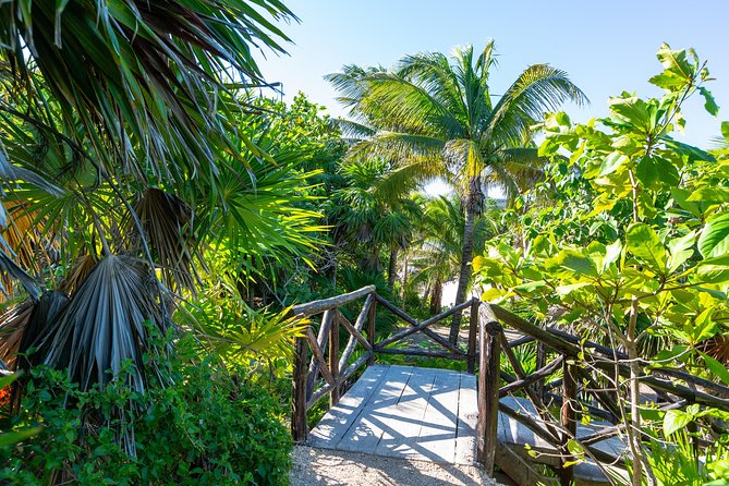 Viator Exclusive: Tulum Ruins, Reef Snorkeling, Cenote and Caves - Value and Price: Is $129 Really a Good Deal?