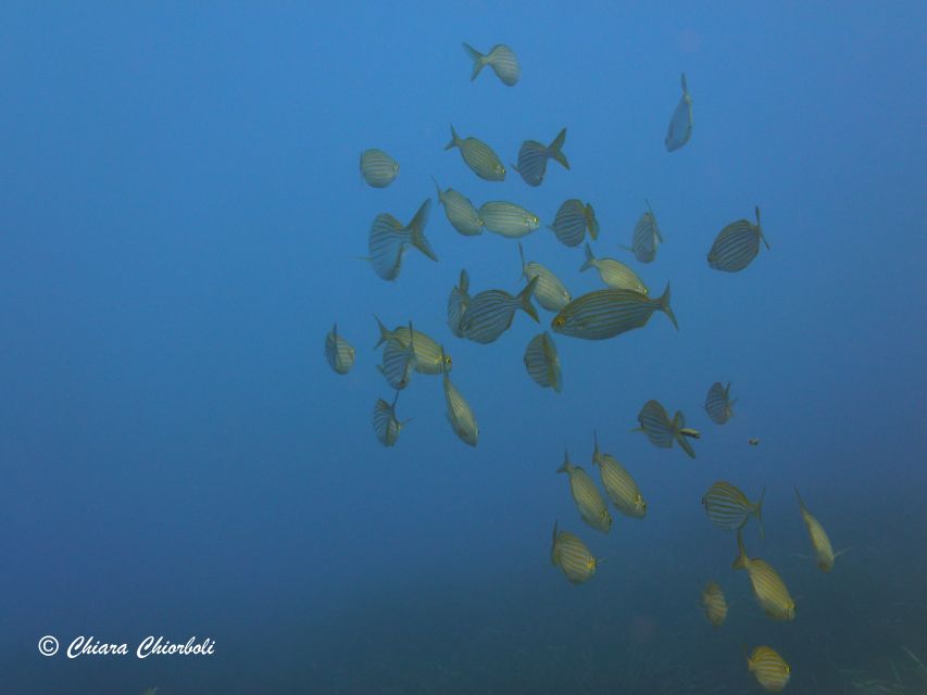 Villasimius: Capo Carbonara Boat and Snorkeling Tour - Who This Tour Suits Best (And Who Should Skip It)