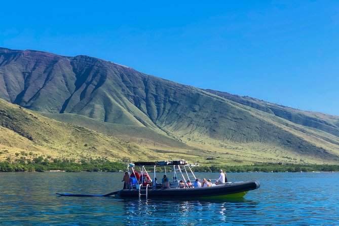 VIP Aloha Nui Snorkel Adventure w/ optional SCUBA from Lahaina - Guides and Crew: The Human Part That Makes Wildlife Easier to See