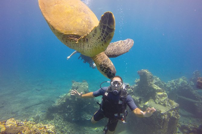 VIP Aloha Nui Snorkel Adventure w/ optional SCUBA from Lahaina - Price and Logistics: Is $235.93 Good Value?