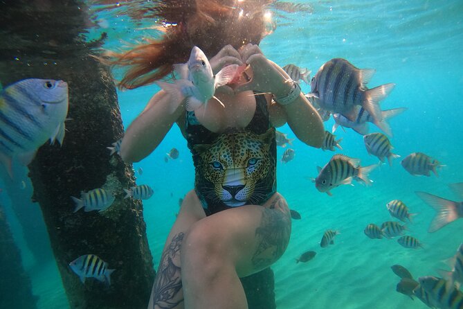 VIP San Juan: Snorkeling Tour with Turtles with Free Videos - Seeing Turtles and Fish Without Feeling Like You’re Doing a Job