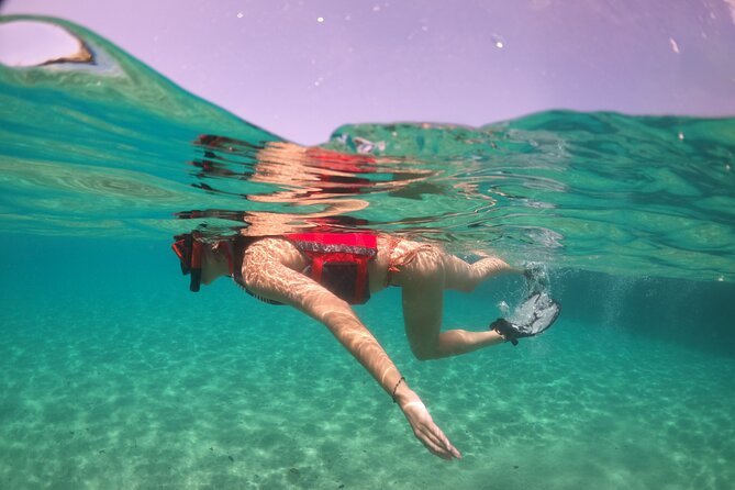 VIP San Juan: Snorkeling Tour with Turtles with Free Videos - Water Clarity, Crowds, and Other Real-Life Variables