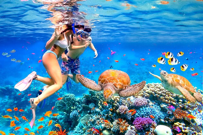 Waikiki Catamaran Escape: Snorkel with Turtles & Water Sports Fun - From Pier D to Diamond Head Views: The Start of the Day