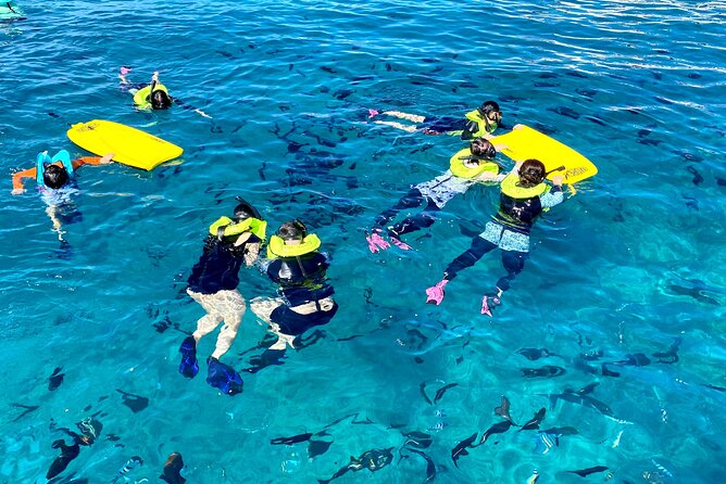 Waikiki Catamaran Escape: Snorkel with Turtles & Water Sports Fun - Turtle Snorkeling: The Main Event and What to Look For
