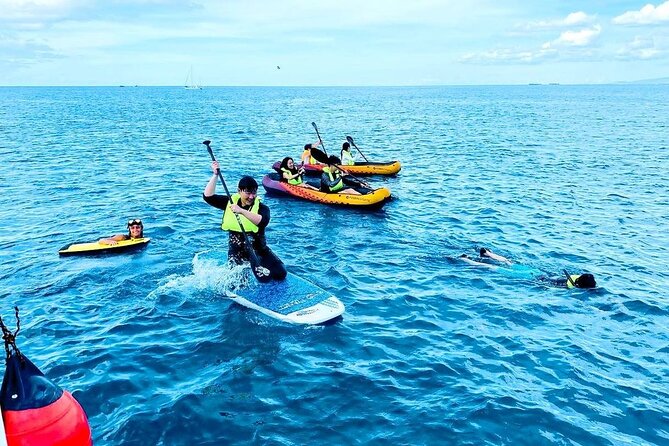 Waikiki Catamaran Escape: Snorkel with Turtles & Water Sports Fun - Water Sports After Snorkeling: Fun That Doesn’t Feel Forced
