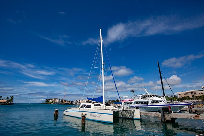 Waikiki Catamaran Snorkel Sail with Lunch: Turtles Guaranteed - Gear, comfort, and what happens after you snorkel