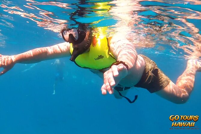 Waikiki Green Sea Turtle Snorkeling Tour - Boat Excursion - Turtle Canyon Snorkeling: How to Make 1.5 Hours Count