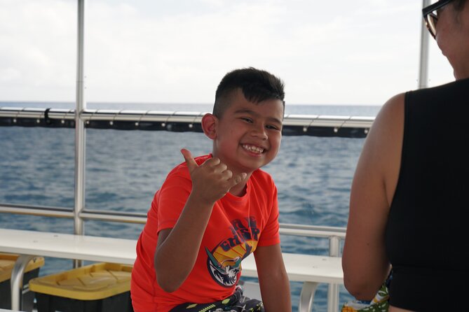 Waikiki Green Sea Turtle Snorkeling Tour - Boat Excursion - Wildlife Odds: Fish, Dolphins, and Whale Season Possibilities
