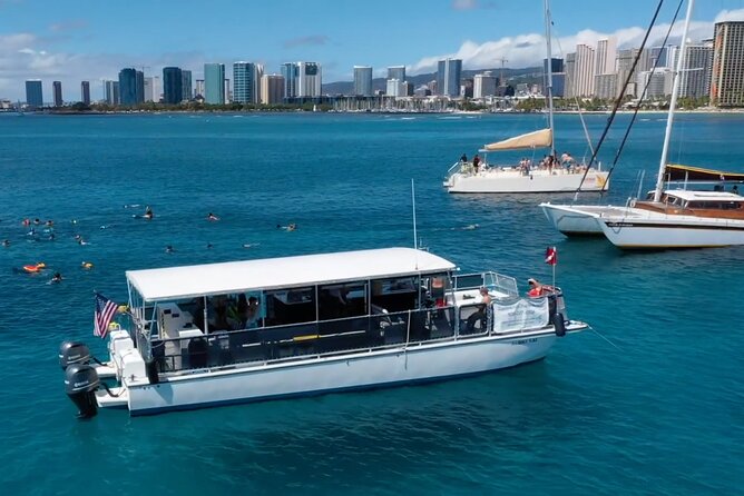 Waikiki Green Sea Turtle Snorkeling Tour - Boat Excursion - Price and Value at $129.99: What You’re Really Buying
