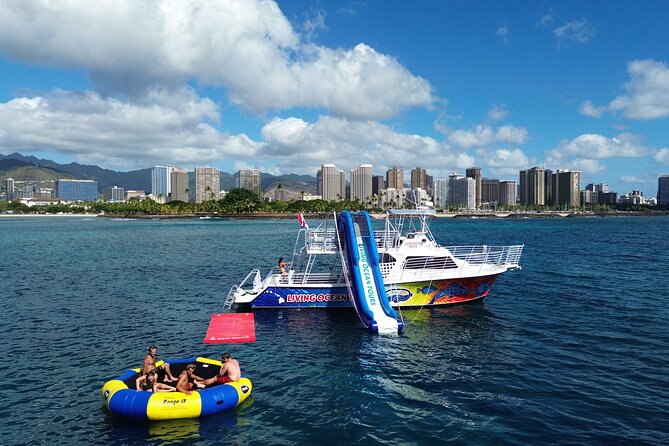 Waikiki, Hawaii: Deluxe Snorkel and Wildlife Cruise - Getting There Fast: Meeting Point and Timing That Actually Work