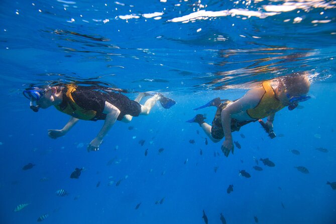 Waikiki, Hawaii: Deluxe Snorkel and Wildlife Cruise - The Floating Water-Platform: The Part Kids (and Adults) Remember