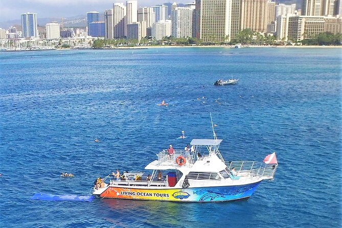 Waikiki, Hawaii: Turtle Canyon Snorkel Excursion - Why Turtle Canyon Snorkeling Works So Well From Waikiki
