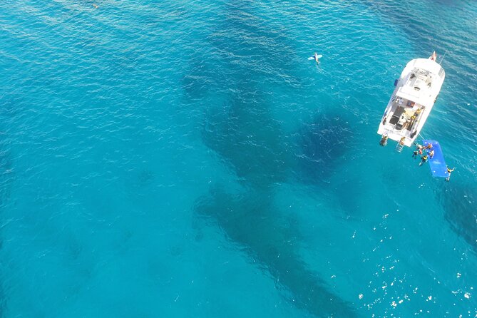 Waikiki, Hawaii: Turtle Canyon Snorkel Excursion - Price and value: is $79.21 a fair deal?