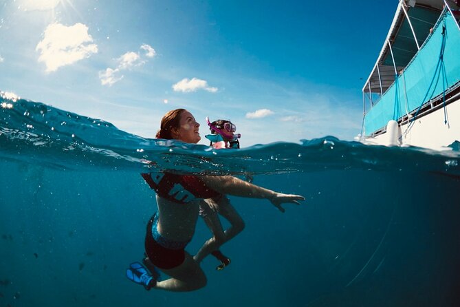 Waikiki Snorkel Tour - Turtle Canyons and coral caverns: what you will actually see
