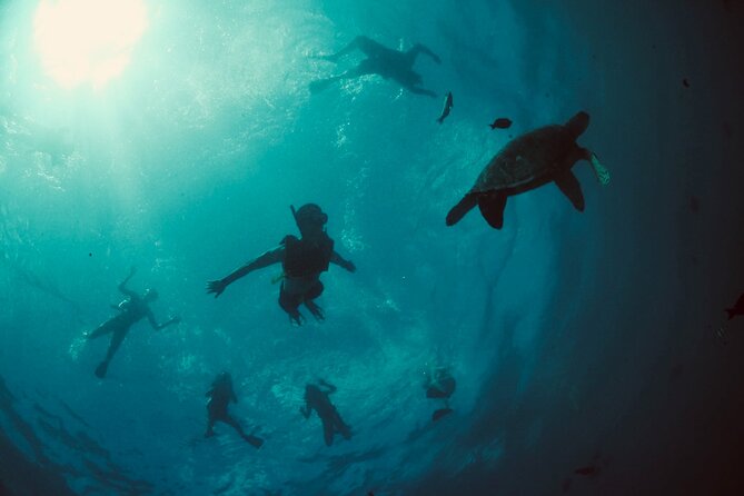 Waikiki Snorkel Tour - Meeting at 1085 Ala Moana Blvd: where to start and how to stay on time
