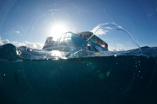 Waikiki Snorkel Tour - Captain and guide energy: how the instruction makes or breaks your water time