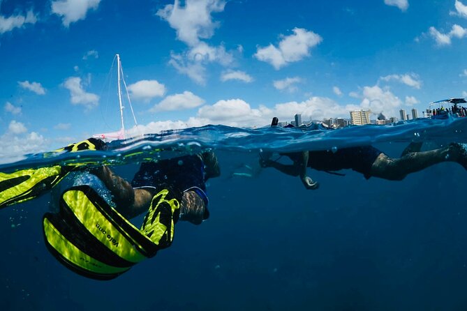 Waikiki Snorkel Tour - Who should book this tour (and who should pick something else)