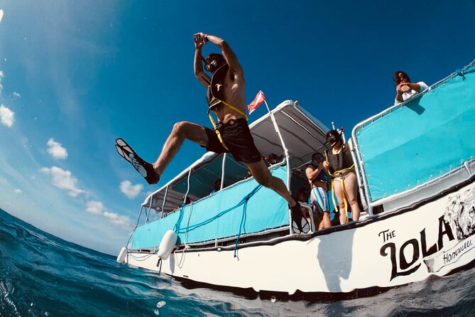 Waikiki Snorkel Tour - The 2-hour flow: check-in, boat ride, snorkel time, back to shore