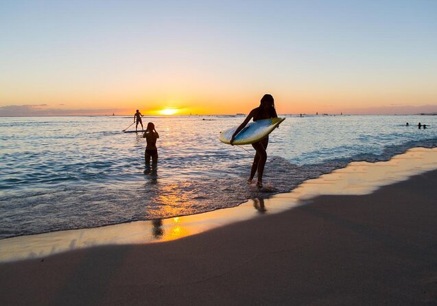 Waikiki: Turtle Canyon Snorkel - Key Things That Make This Turtle Snorkel Worth Your Time