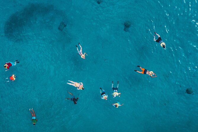 Waikiki: Turtle Canyon Snorkel - Price and Value: Is $68.60 a Fair Deal?