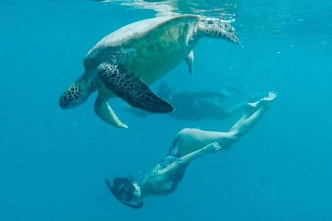 Waikiki Turtle Snorkel and Sail on Hawea Catamaran - Getting started at the Duke Paoa Kahanamoku Statue (and showing up prepared)