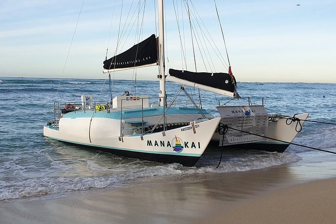 Waikiki Turtle Snorkel and Sail on Hawea Catamaran - Green sea turtles and more: what you can realistically spot underwater