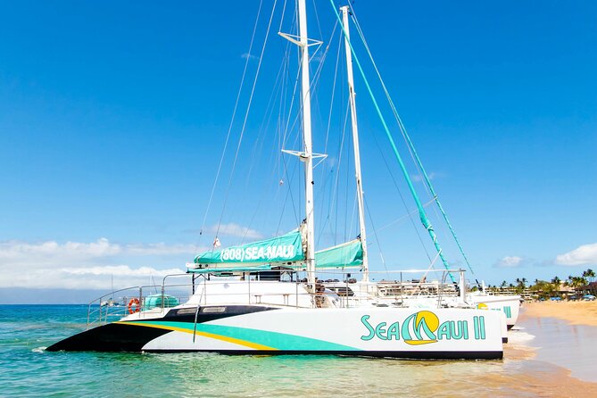 West Maui Afternoon Snorkel from Ka’anapali Beach - Food and drinks: heavy appetizers that actually satisfy