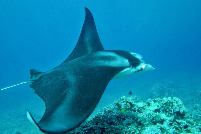 West Maui Afternoon Snorkel from Ka’anapali Beach - Ka’anapali Beach boarding: easy to find, worth preparing for sand