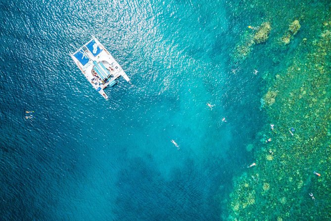 West Maui Half Day Snorkel from Ka’anapali Beach - Key things I’d circle before you book