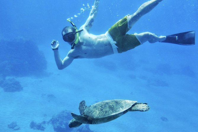 West Maui Half Day Snorkel from Ka’anapali Beach - West Maui Snorkeling Sites: Honolua Bay and Beyond