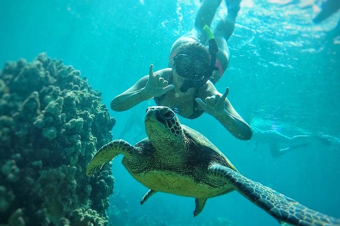 West Maui Half Day Snorkel from Ka’anapali Beach - Getting In and Staying Safe: Gear, Swimmers, and Comfort