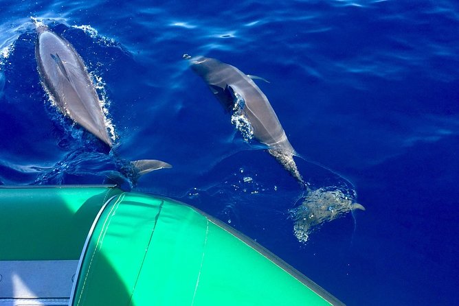 West Maui Snorkeling Experience by Boat from Ka'anapali - From Ka’anapali: the 9:00 am small-boat day that feels well run