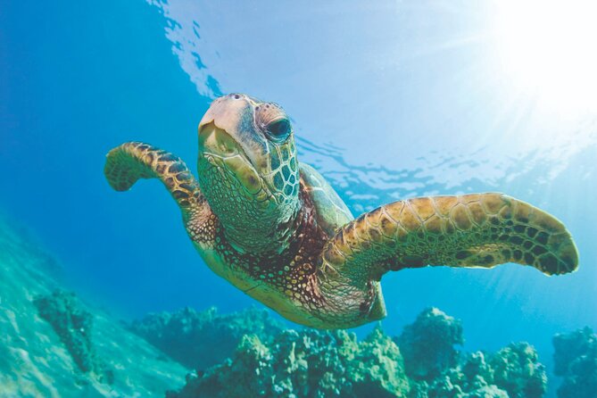 West Oahu Dolphin Watch and Snorkel Sail with Lunch - Setting Sail from the Waianae side (and why it feels special)