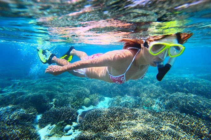 West Oahu Dolphin Watch and Snorkel Sail with Lunch - What the named coastal stops mean in real life