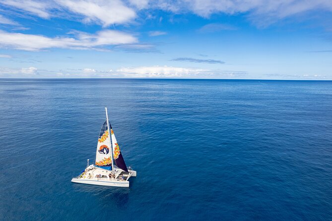 West Oahu Dolphin Watch and Snorkel Sail with Lunch - Guaranteed dolphins in season: how the backup plan works