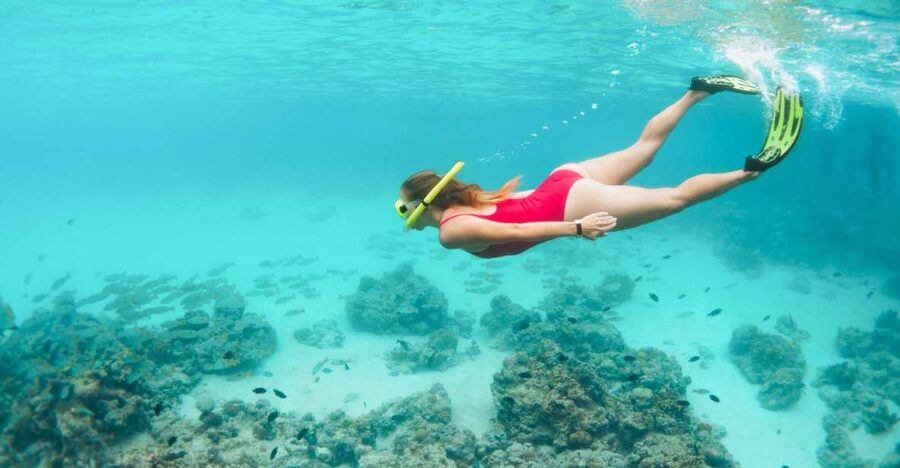 West Oahu: Turtles, Dolphins, and Snorkeling Tour with Lunch - Key things to know before you go