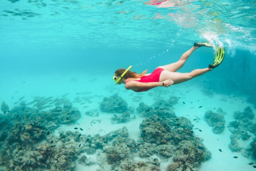 West Oahu: Turtles, Dolphins, and Snorkeling Tour with Lunch - The crew and safety vibe: why this feels calm even when wildlife is close