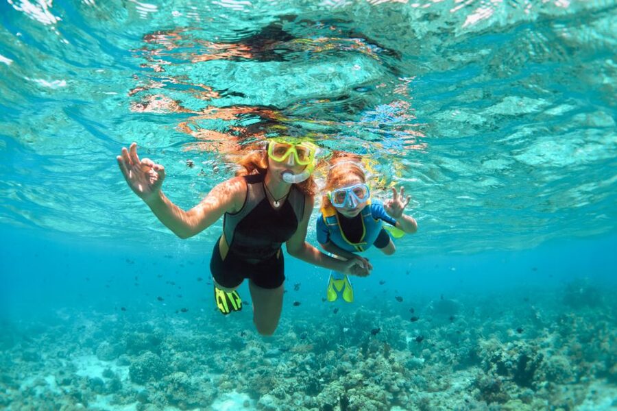 West Oahu: Turtles, Dolphins, and Snorkeling Tour with Lunch - Price and value: is $139 per person a smart buy?