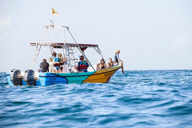 Whale Shark and Snorkeling Adventure from Isla Holbox - Wildlife Luck, Weather Windows, and the Real Meaning of a “Safari” Day