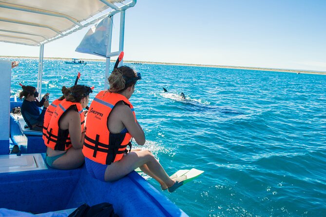 Whale Shark snorkeling tour in a reduced group with local marine biologist - How the Marine Biologist Makes or Breaks the Experience (Angel, Carla, Maria, More)