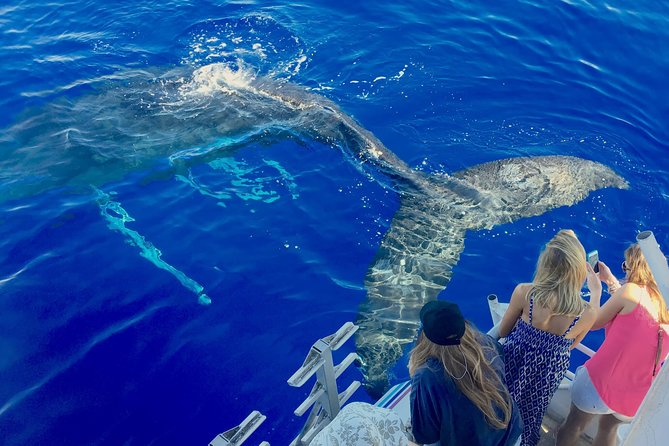 Whale Watch and Turtles Snorkel - Pride of Maui Catamaran: room, stability, and restrooms that don’t stink