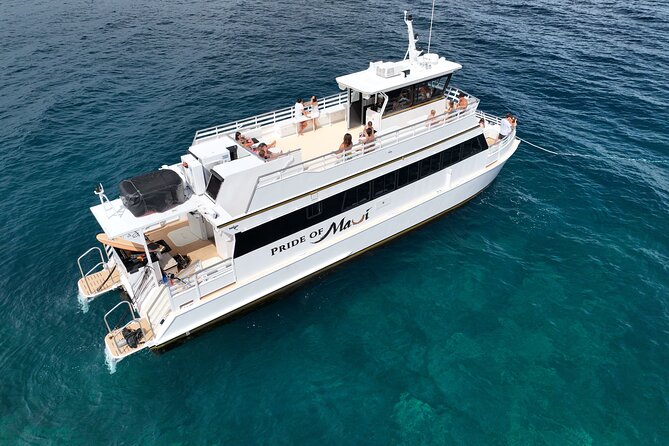 Whale Watch and Turtles Snorkel - Snorkeling Maui reefs: gear support, beginners help, and the day’s conditions