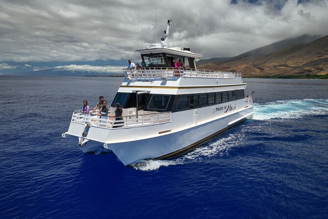 Whale Watch and Turtles Snorkel - BBQ lunch and open bar: fuel after the swim, not just filler