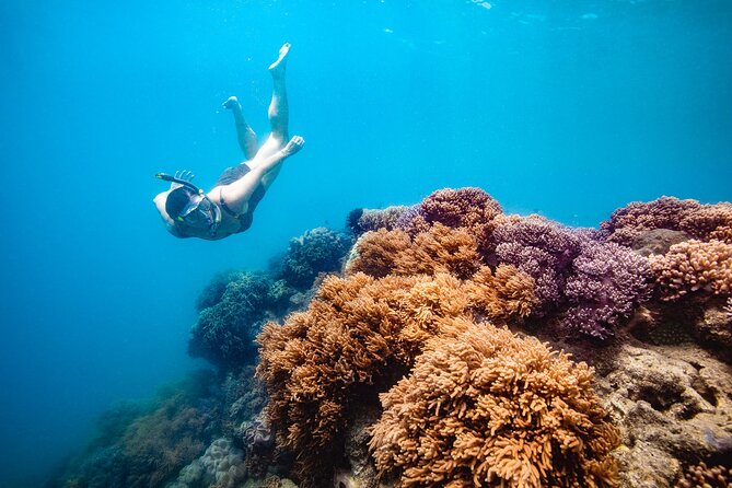 Whitehaven Beach and Hill Inlet Lookout Snorkeling Cruise - Key points to know before you go