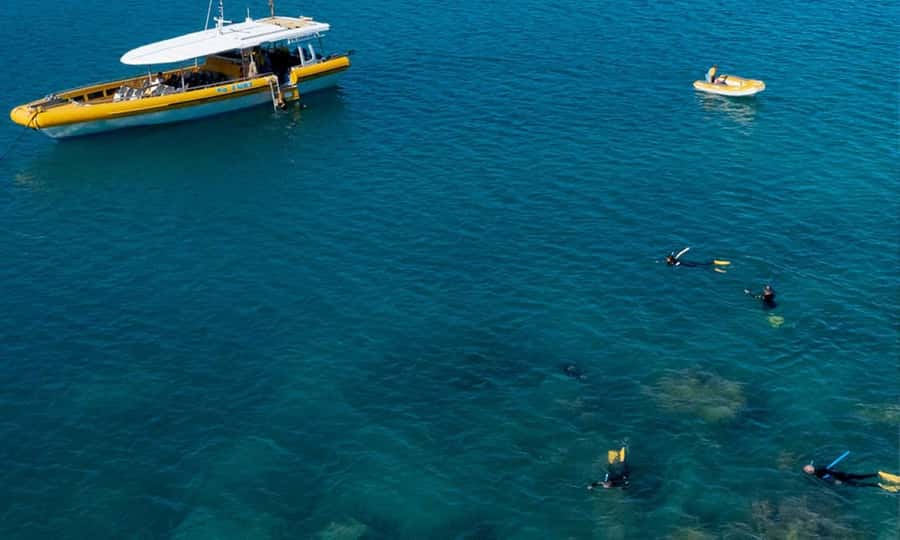 Whitsunday: Whitsunday Islands Tour with Snorkeling & Lunch - Hill Inlet Lookout: Getting the View Without Making It a Pain