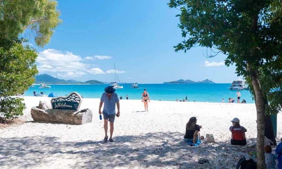 Whitsunday: Whitsunday Islands Tour with Snorkeling & Lunch - Getting Picked Up: Meeting Points and Morning Punctuality