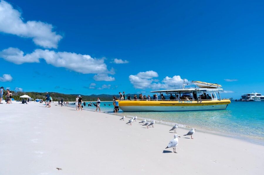 Whitsunday: Whitsunday Islands Tour with Snorkeling & Lunch - Price and Value: Is $162 Really Fair?